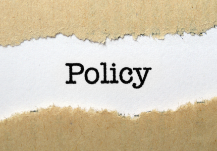 torn brown paper border with word, "policy" on white background