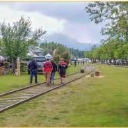 People walking and picnicking in a park with green grass, trees, and out of service railroad tracks