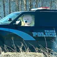 Speed bear Palmer Police