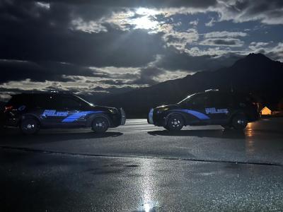 Palmer Police vehicles at night 