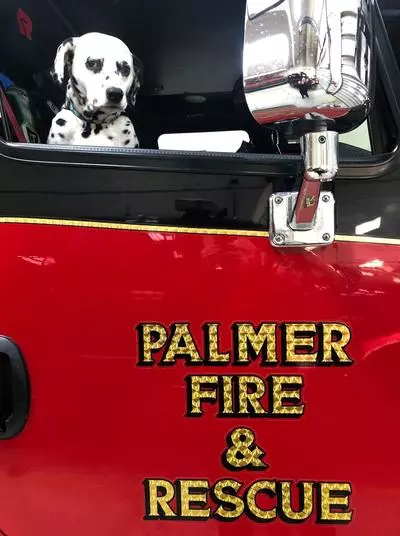 Palmer Mascot Zoey