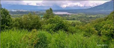 panoramic photo of palmer valley with mountains, grass, and trees. 